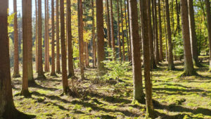 Mehr über den Artikel erfahren Herbstprogramm 2018