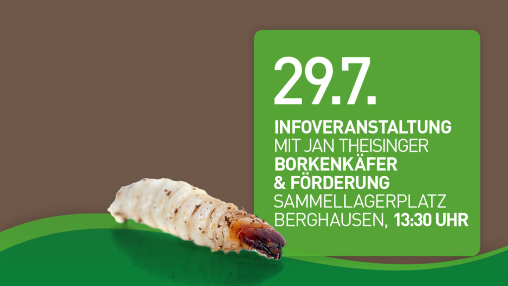 Infoveranstaltung Borkenkäfer & Förderung
