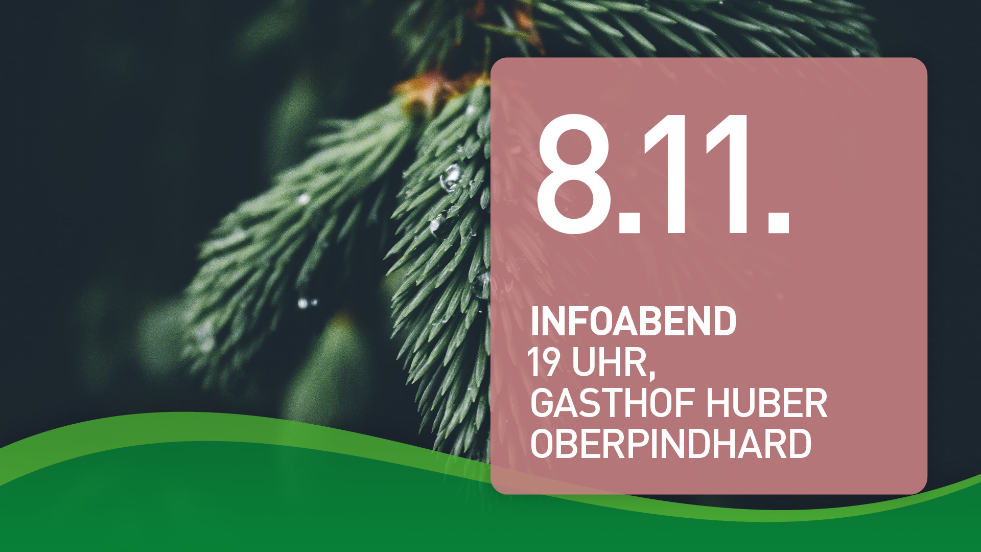 Read more about the article Infoabend, 8.11.