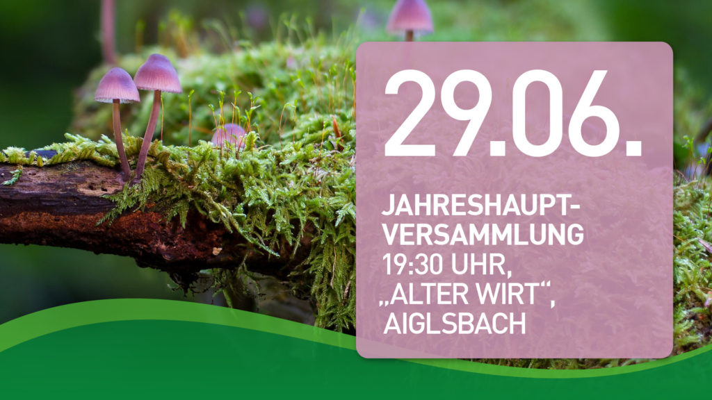 Jahreshauptversammlung, 29.06.23