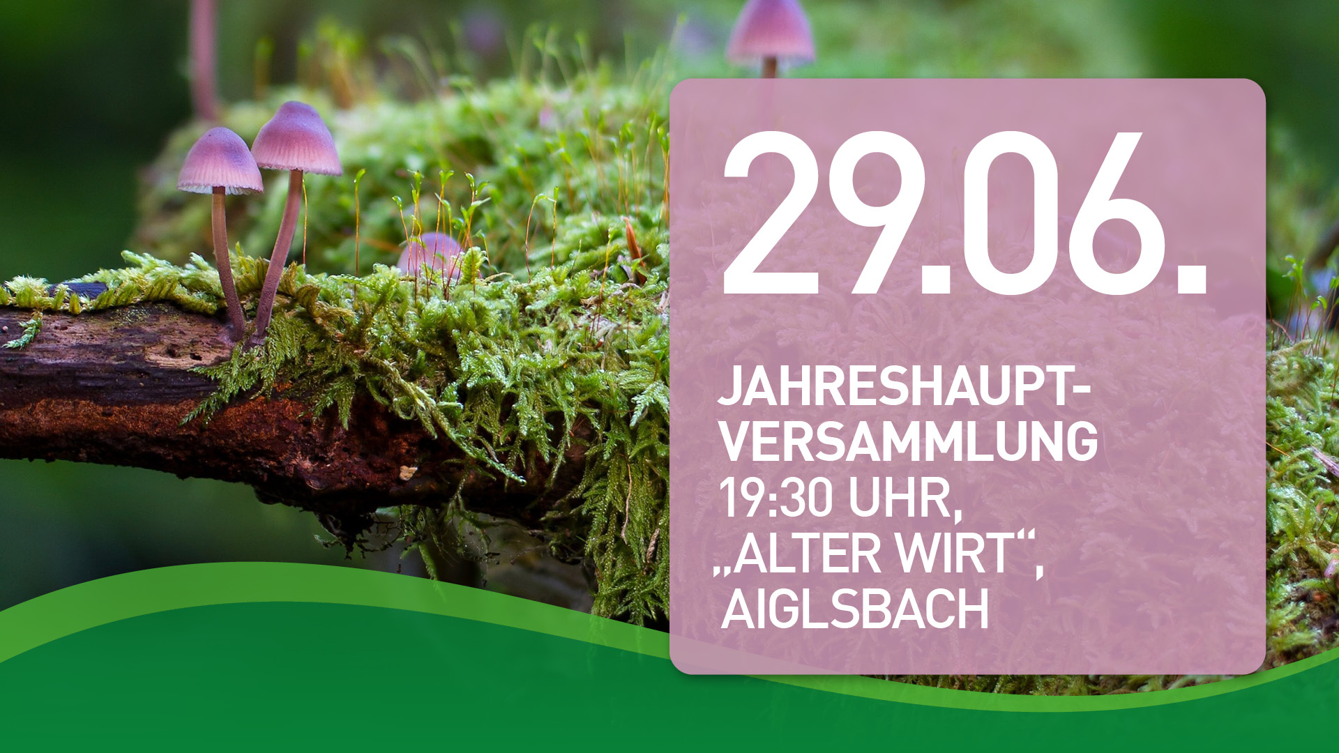 You are currently viewing Jahreshauptversammlung, 29.06.23