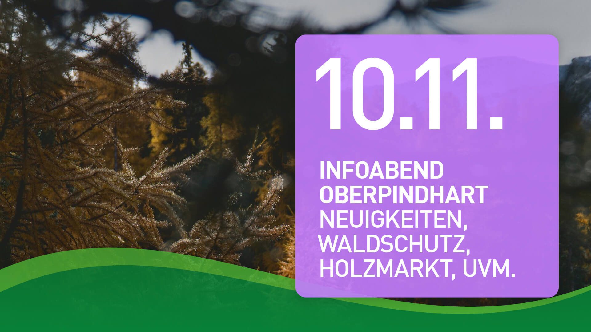Mehr über den Artikel erfahren Infoabend, 10.11.23