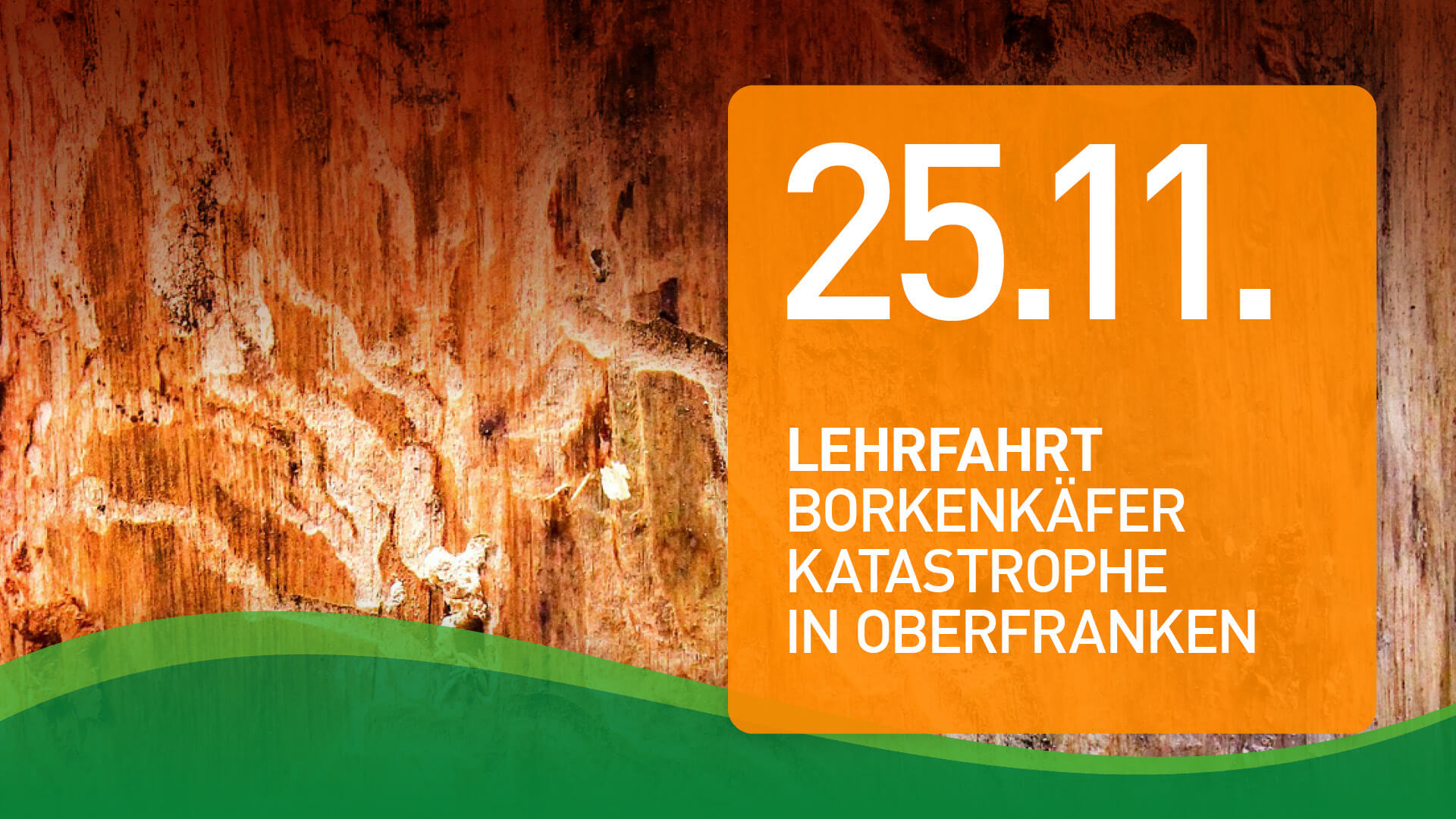 Read more about the article Lehrfahrt 25.11.23