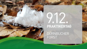 Read more about the article Praktikertag 2023