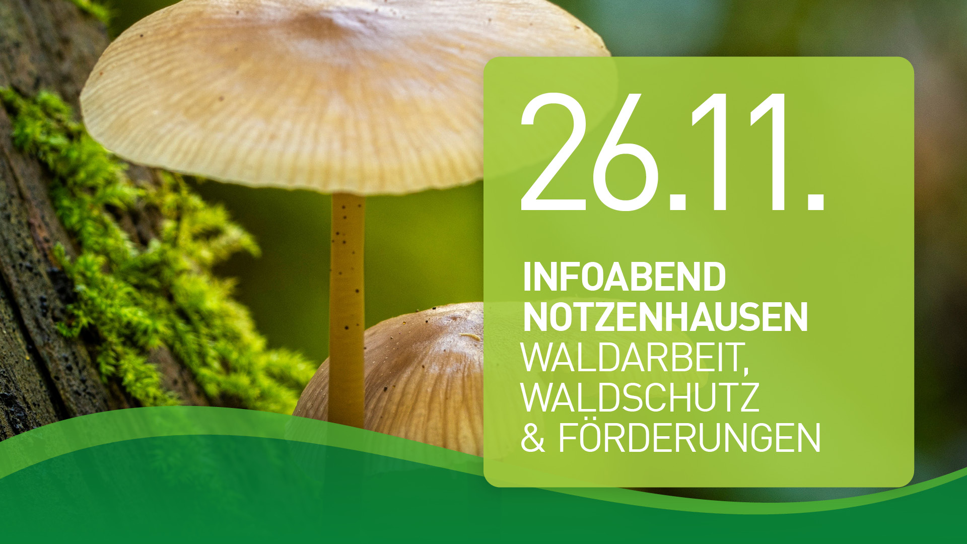 Mehr über den Artikel erfahren Infoabend, 26.11.