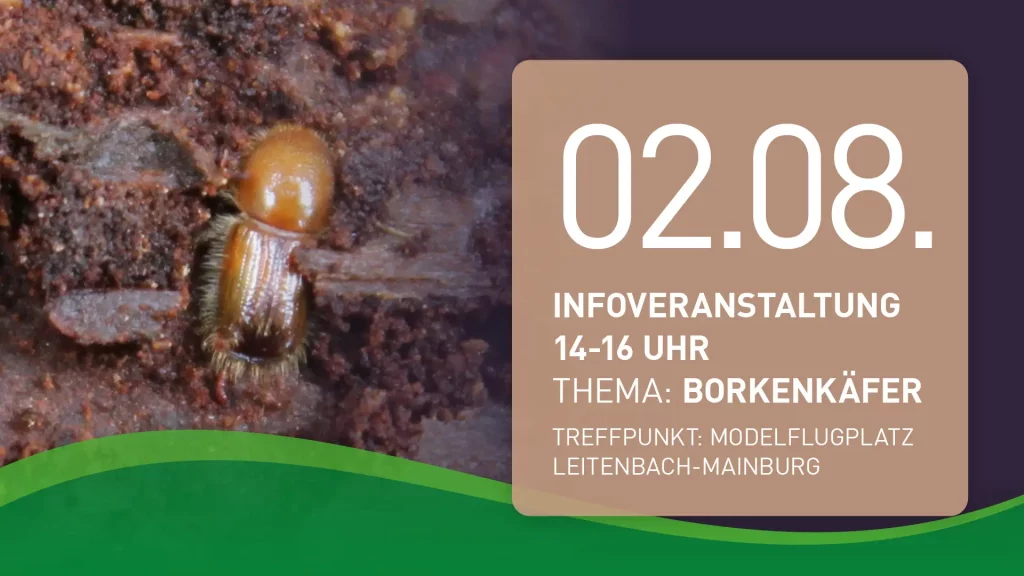 Infoveranstaltung, 02.08.