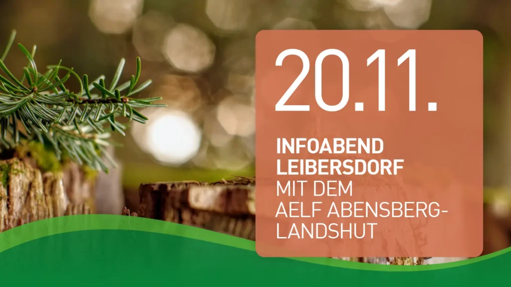 Infoabend, 20.11.